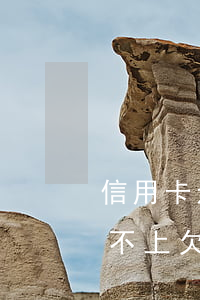 信用卡还不上欠了十多万怎么办-信用卡还不上欠了十多万怎么办呢