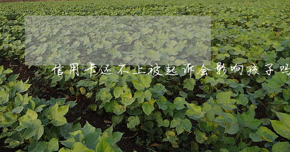 信用卡还不上被起诉会影响孩子吗