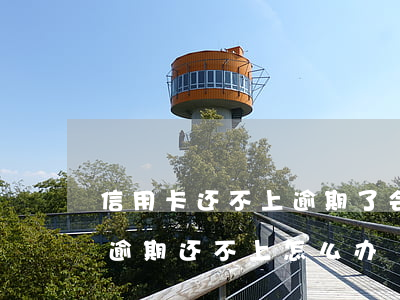 信用卡还不上逾期了会上征信吗-欠信用卡逾期还不上怎么办