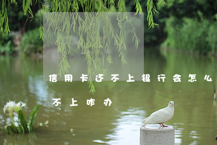 信用卡还不上银行会怎么处理(银行信用卡还不上咋办)