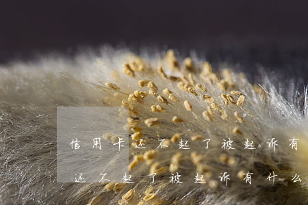 信用卡还不起了被起诉有什么后果-信用卡还不起了被起诉有什么后果吗