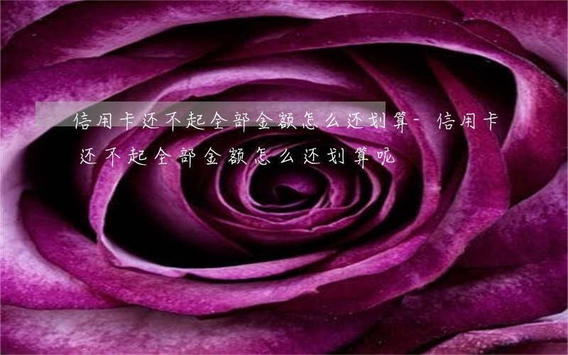 信用卡还不起全部金额怎么还划算-信用卡还不起全部金额怎么还划算呢