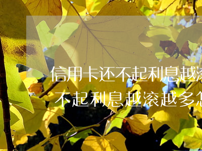 信用卡还不起利息越滚越多怎么办(信用卡还不起利息越滚越多怎么办)