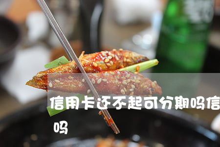 信用卡还不起可分期吗(信用卡还不起可分期吗)