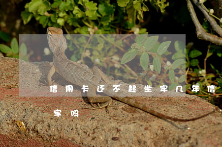 信用卡还不起坐牢几年(信用卡还不起了会坐牢吗)
