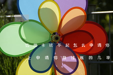 信用卡还不起怎么申请停息挂账(信用卡还不上申请停息挂账的几率大不大)