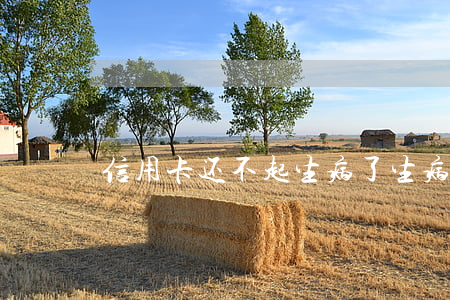 信用卡还不起生病了(生病了无力偿还信用卡)