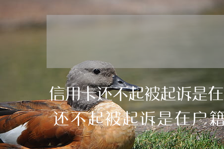 信用卡还不起被起诉是在户籍地吗-信用卡还不起被起诉是在户籍地吗怎么办