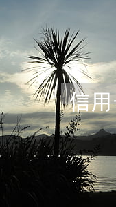 信用卡还不还,信用卡还不还利息 信用卡还不还,信用卡还不还利息