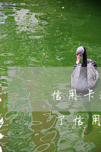 信用卡还不进去怎么办会坐牢吗-如果坐牢了信用卡还不上怎么办