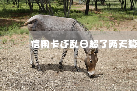 信用卡还乱日超了两天算逾期吗