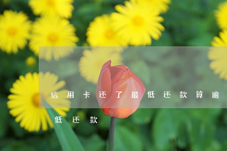 信用卡还了最低还款算逾期(还信用卡超过最低还款)