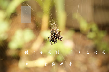 信用卡还剩300忘记还逾期了(信用卡3000逾期半年)