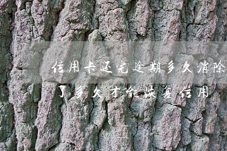 信用卡还完逾期多久消除(信用卡逾期后还清了多久才能恢复信用)