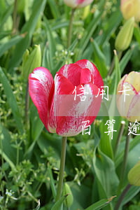 信用卡还少了两百算逾期吗(信用卡还少了两百算逾期吗)