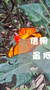 信用卡还最低还款不算逾期吧-是不是还了最低还款就不算逾期