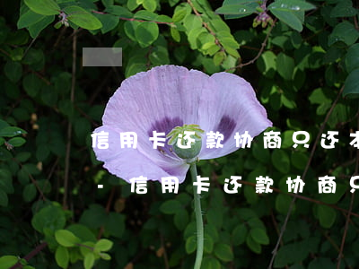 信用卡还款协商只还本金但是多交了一点钱-信用卡还款协商只还本金但是多交了一点钱怎么办