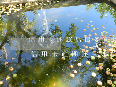 信用卡还款后最多可以逾期多久(2018年信用卡逾期还完多久可以再次申请)