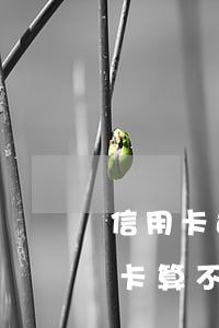 信用卡还款多少天不算是逾期 晚还4天信用卡算不算逾期