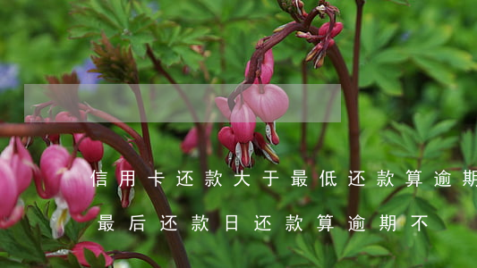 信用卡还款大于最低还款算逾期吗(在信用卡最后还款日还款算逾期不)