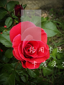 信用卡还款日会影响逾期吗(逾期两天还信用卡有没有影响)