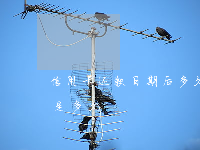 信用卡还款日期后多久算逾期(还信用卡期限是多久)