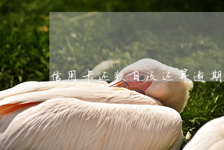 信用卡还款日没还算逾期吗(逾期未还信用卡)