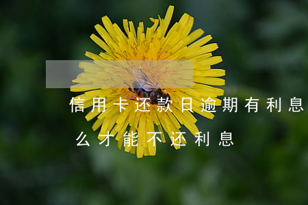 信用卡还款日逾期有利息吗(还逾期信用卡怎么才能不还利息)