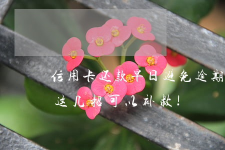 信用卡还款早日避免逾期(信用卡逾期?不要慌,这几招可以补救!)