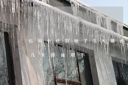 信用卡还款晚了几天算逾期(信用卡还款晚了几天算逾期不)