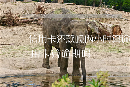 信用卡还款晚俩小时算逾期吗(超过两天还信用卡算逾期吗)