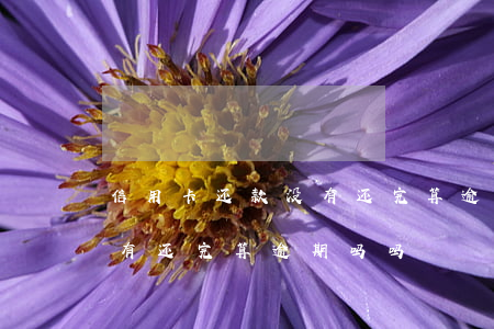 信用卡还款没有还完算逾期吗 信用卡还款没有还完算逾期吗吗