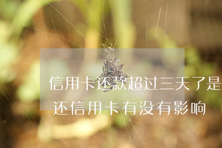 信用卡还款超过三天了是逾期了吗(逾期两天还信用卡有没有影响)