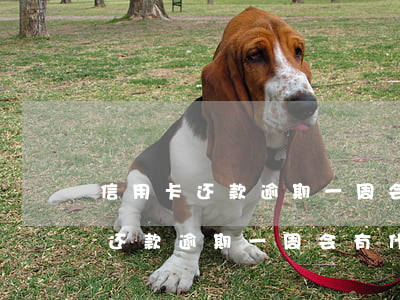 信用卡还款逾期一周会有什么后果-信用卡还款逾期一周会有什么后果吗