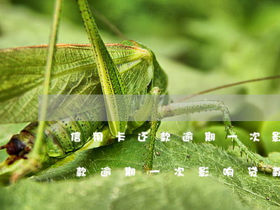 信用卡还款逾期一次影响贷款吗-信用卡还款逾期一次影响贷款吗知乎