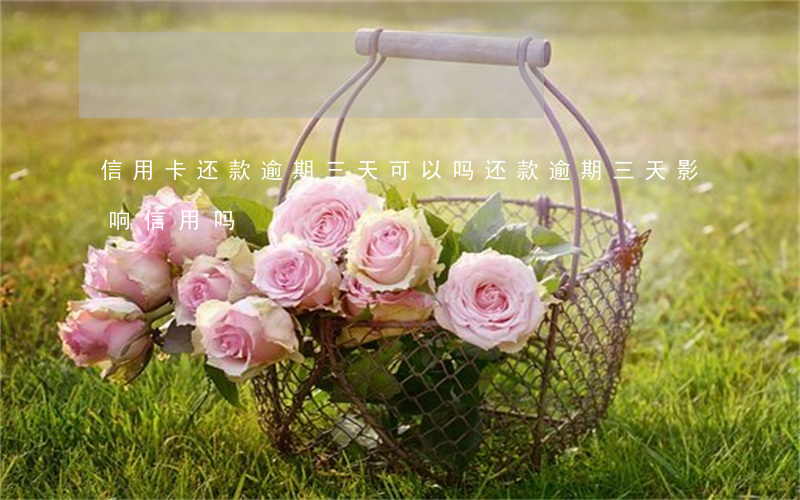 信用卡还款逾期三天可以吗(还款逾期三天影响信用吗)