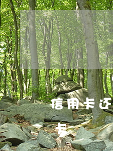 信用卡还款逾期三天影响吗(逾期两天还信用卡)