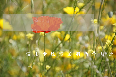 信用卡还款逾期两个月会锁卡(逾期多久会锁卡)