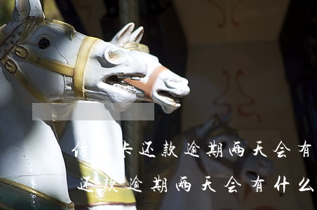 信用卡还款逾期两天会有什么后果-信用卡还款逾期两天会有什么后果吗