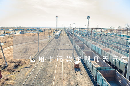 信用卡还款逾期几天算失信(信用卡 逾期 几天)
