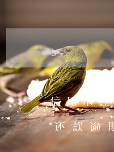 信用卡还款逾期几天还了还能用吗-信用卡还款逾期几天还了还能用吗有影响吗