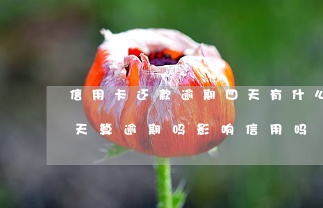 信用卡还款逾期四天有什么影响(还款日第四天算逾期吗影响信用吗)