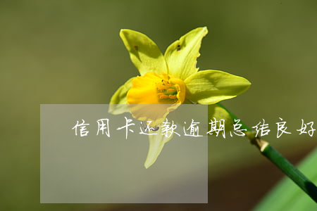 信用卡还款逾期总结(良好的信用卡还款记录)