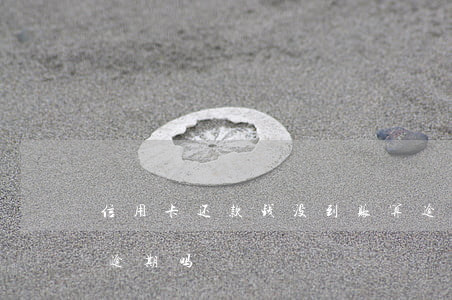 信用卡还款钱没到账算逾期吗(还款未到账算逾期吗)