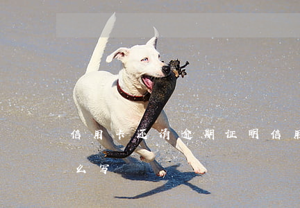 信用卡还清逾期 证明(信用卡还清逾期 证明怎么写)