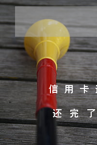 信用卡还进去了还显示逾期(我信用卡逾期过还完了贷款有影响吗)