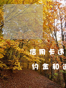 信用卡违约金和逾期利息怎么算-信用卡违约金和逾期利息怎么算的