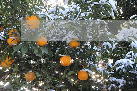 信用卡连续3次逾期 一年内信用卡逾期三次