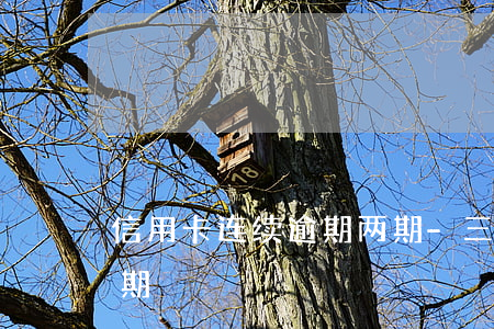 信用卡连续逾期两期-三年前信用卡严重逾期