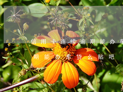 信用卡连续逾期能办车贷么-信用卡连续逾期能办车贷么贴吧